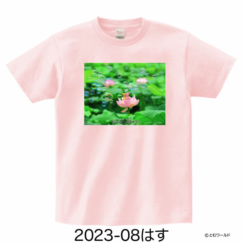 642deccc9fb102002e30b2c1