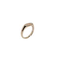 Emblem Ring GT-Narrow / K10YG