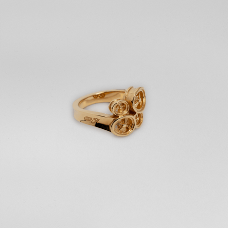 4WLD Ring / 18kgp