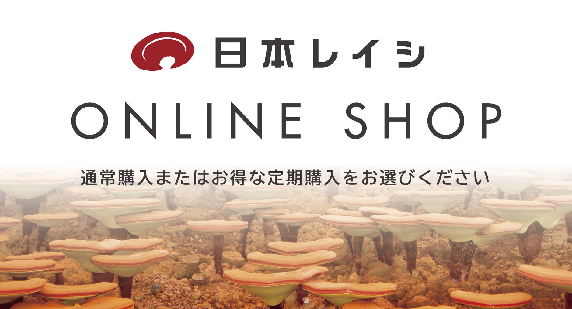 日本レイシ Online shop