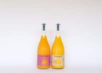 BLOOM&PARASOL　2本BOX