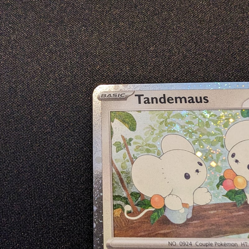 状態A】ワッカネズミ プロモ（Paldea Adventures Chest同梱品） | 海