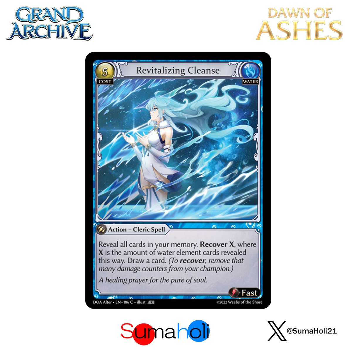 秋*近様 GrandArchive Revitalizing Cleanse C 秋*近様 GrandArchive Revitalizing Cleanse C Revitalizing Cleanse