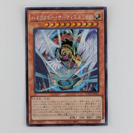 CATEGORY LIMIT OVER COLLECTION THE HEROES アジア版