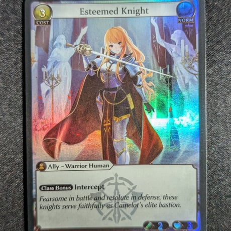 【状態B】Grand ArchiveTCG『Esteemed Knight Foil』Supporter Pack 1