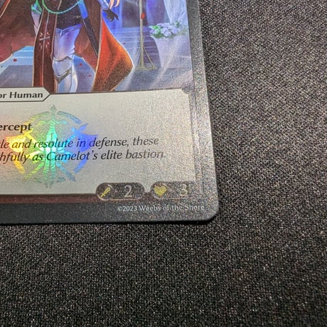 【状態A】Grand ArchiveTCG『Esteemed Knight Foil』Supporter Pack 1