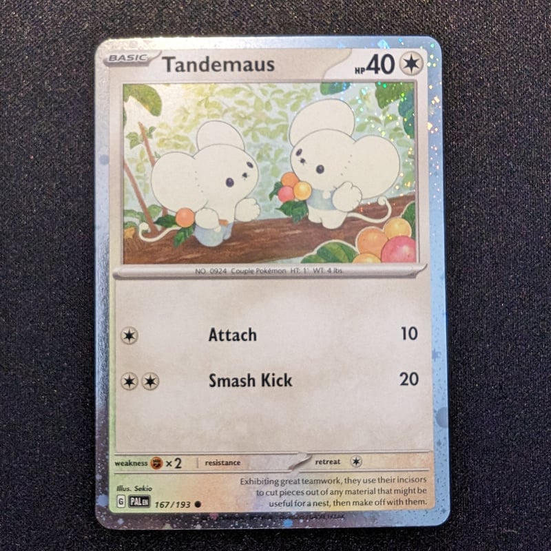 状態A】ワッカネズミ プロモ（Paldea Adventures Chest同梱品） | 海