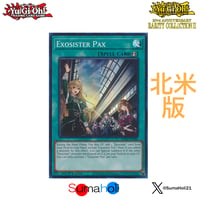 【状態A】北米版 25th Rarity Collection Ⅱ 1stEdition エクソシスター・パークス QCシークレットレア