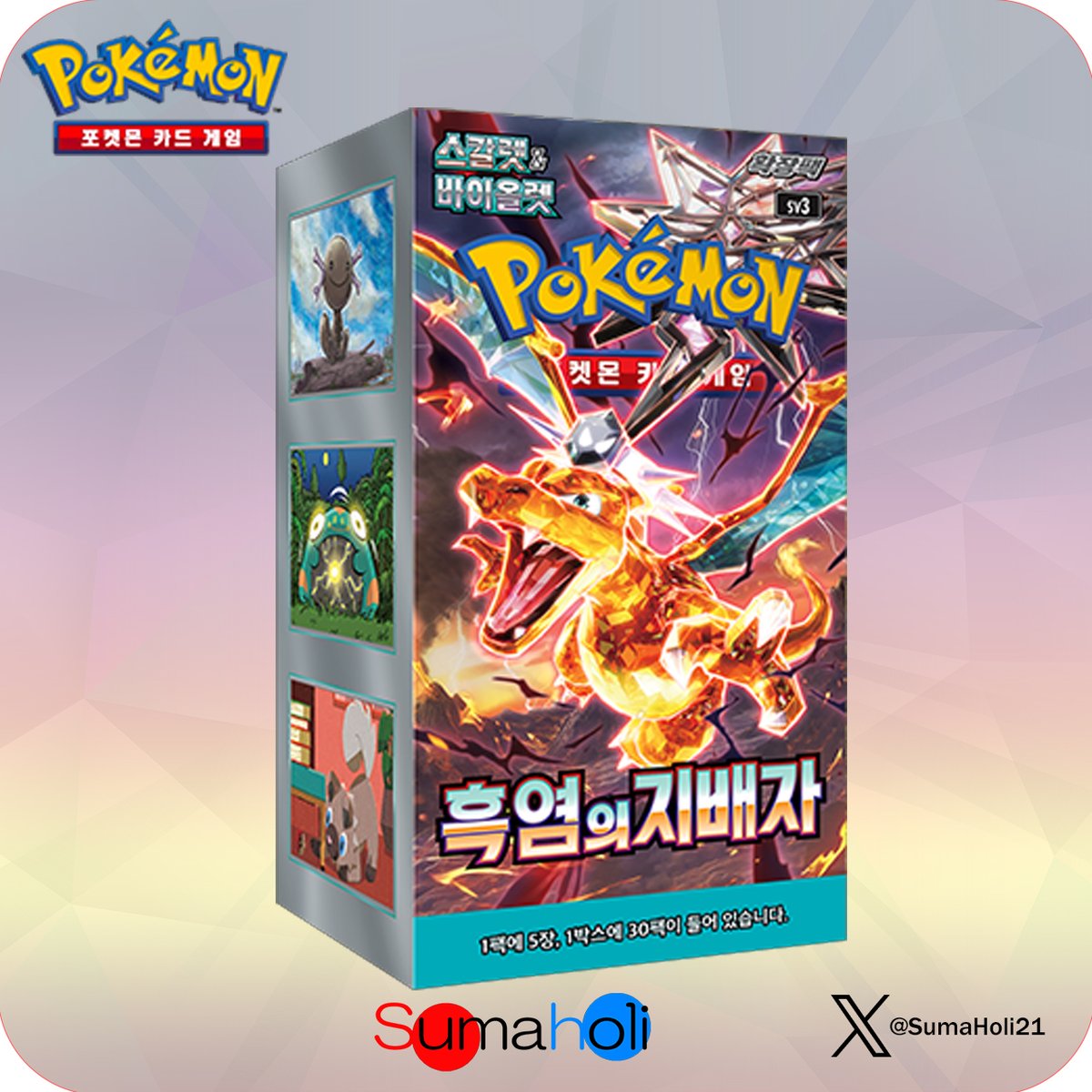 ポケモンカードゲーム 韓国語版 3パックセット ポケモンカードゲーム 韓国語版 Scarlet & Violet 『黒炎の支配