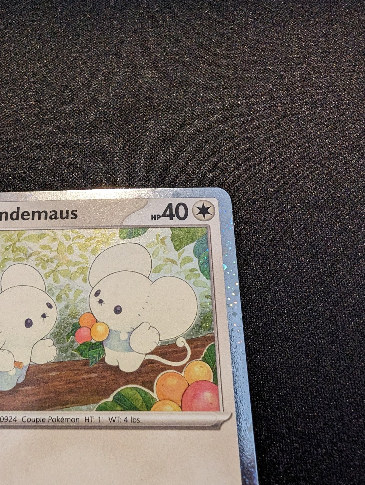 状態A】ワッカネズミ プロモ（Paldea Adventures Chest同梱品） | 海