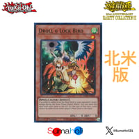 【状態A】北米版 25th Rarity Collection Ⅱ 1stEdition ドロール＆ロックバード コレクターズレア