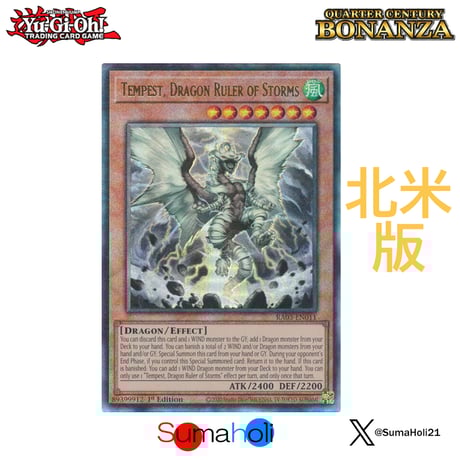 遊戯王 エラーカード 英語 北米版 壱世壊に奏でる哀唱 遊戯王 エラーカード 英語 北米版 壱世壊に奏でる哀唱