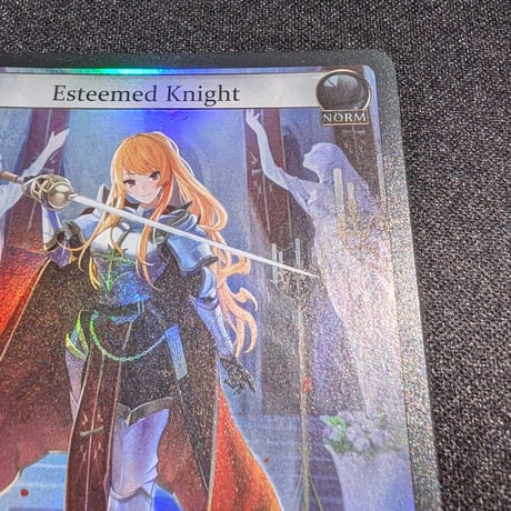 【状態A】Grand ArchiveTCG『Esteemed Knight Foil』Supporter Pack 1
