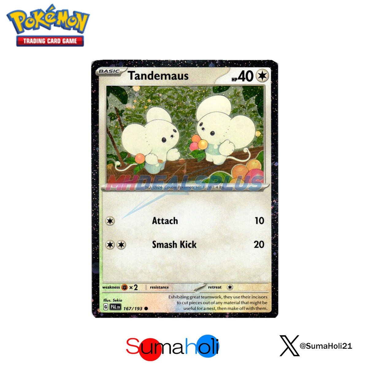 状態A】ワッカネズミ プロモ（Paldea Adventures Chest同梱品） | 海