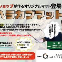 ヘラカブマット20ℓ（2袋）