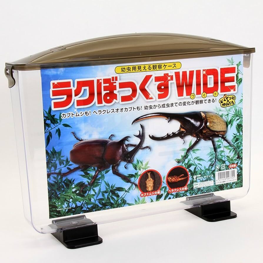 ラクボックスカブトムシ5セット ラクボックスカブトムシ5セット 楽天市場】【DDA】ラクぼっくす