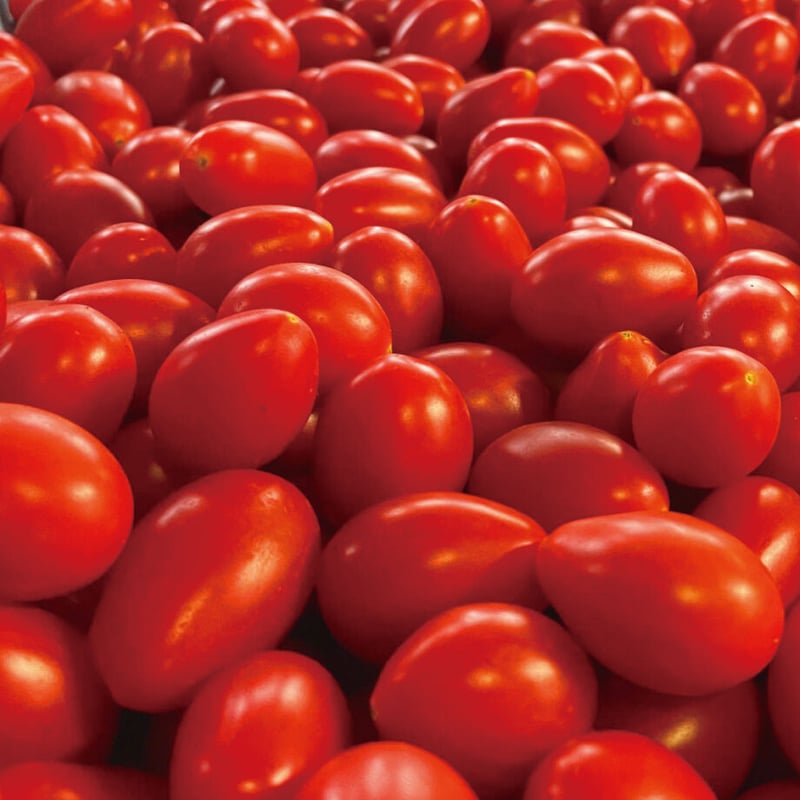 トマト  GAVA大量含有】国内産有機栽培・リッチトマトジュース