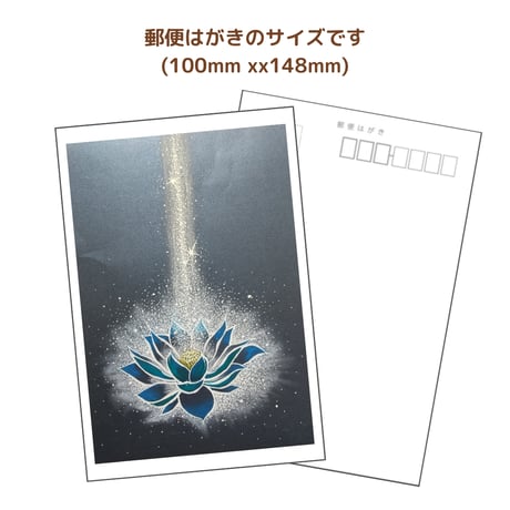 bluelotus | STORES