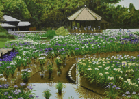 菖蒲園 《値下げしました》