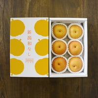 にいがた和梨　新美月-しんみづき- 約2kg化粧箱入（4〜7玉）