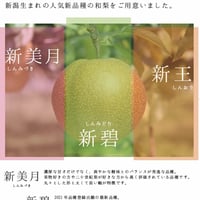 【お取り寄せご自宅用】にいがた和梨おまかせ便