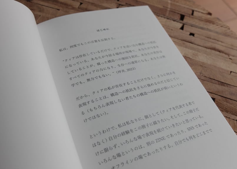美品　希少　Queer Zines クィアジンズ queer zines – Echo Zines