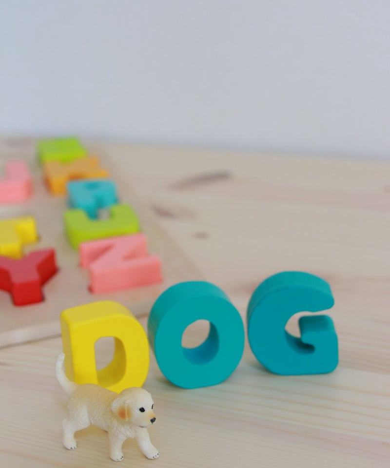 はるページ 国産ドライブVベルト スタンダードタイプ ライブディオZX (AF35