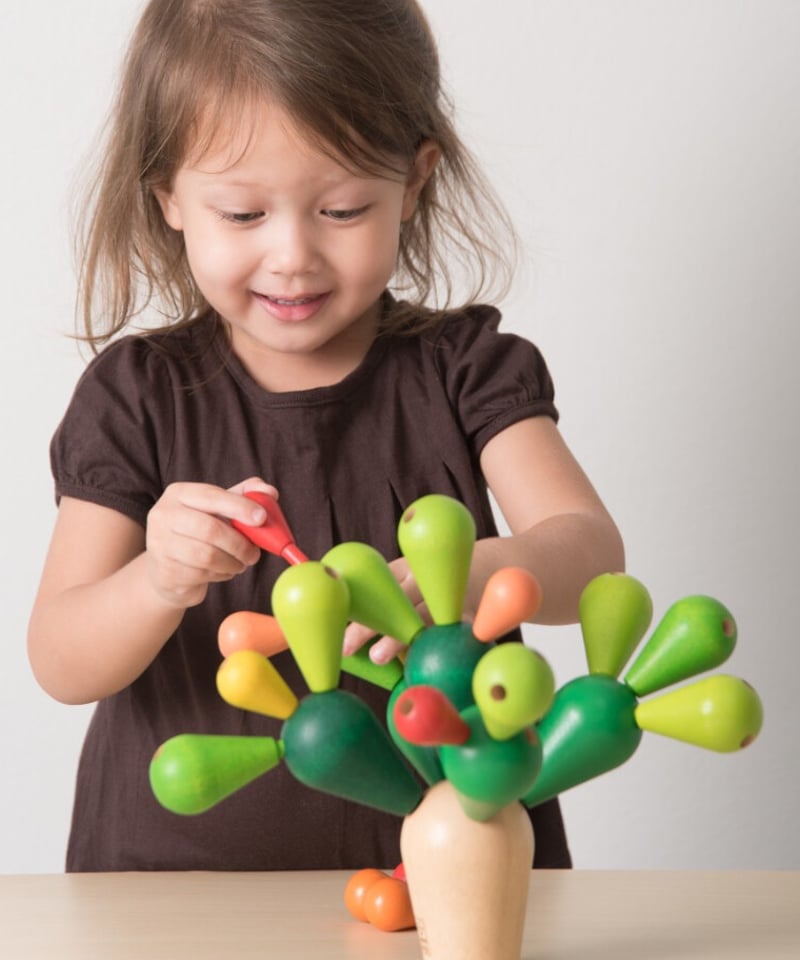 サボテンバランスゲーム（プラントイ） | 木のおもちゃ 虹と木