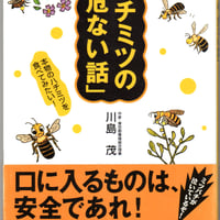 ハチミツの「危ない話」　本物のハチミツを食べてみたい！