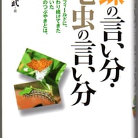 蝶の言い分・毛虫の言い分