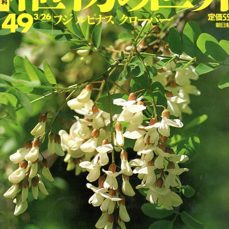 週刊朝日百科　植物の世界49　フジ　ルピナス　クローバー