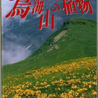 新・鳥海山の植物