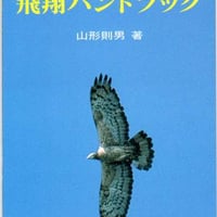 花のハイキング 高尾・陣馬 | おちこち文庫