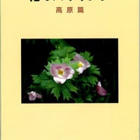 花のハイキング　高原篇