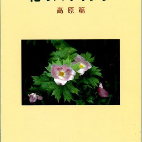 CATEGORY 花と果実 | おちこち文庫