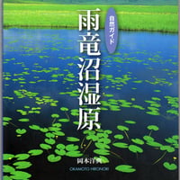 自然ガイド　雨竜沼湿原