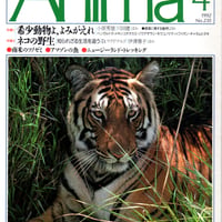 アニマ　1992年4月号