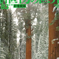 週刊朝日百科　植物の世界83　針葉樹林