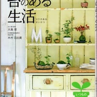 苔のある生活