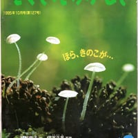 ほら、きのこが…　たくさんのふしぎ1995年10月号