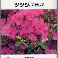 NHK趣味の園芸　よくわかる栽培12か月　ツツジ、アザレア