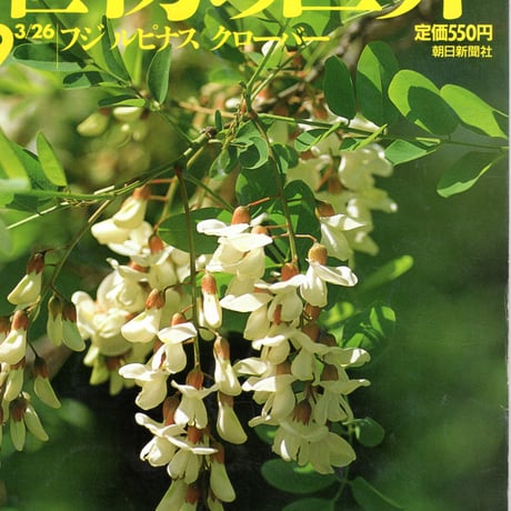 週刊朝日百科　植物の世界49　フジ　ルピナス　クローバー