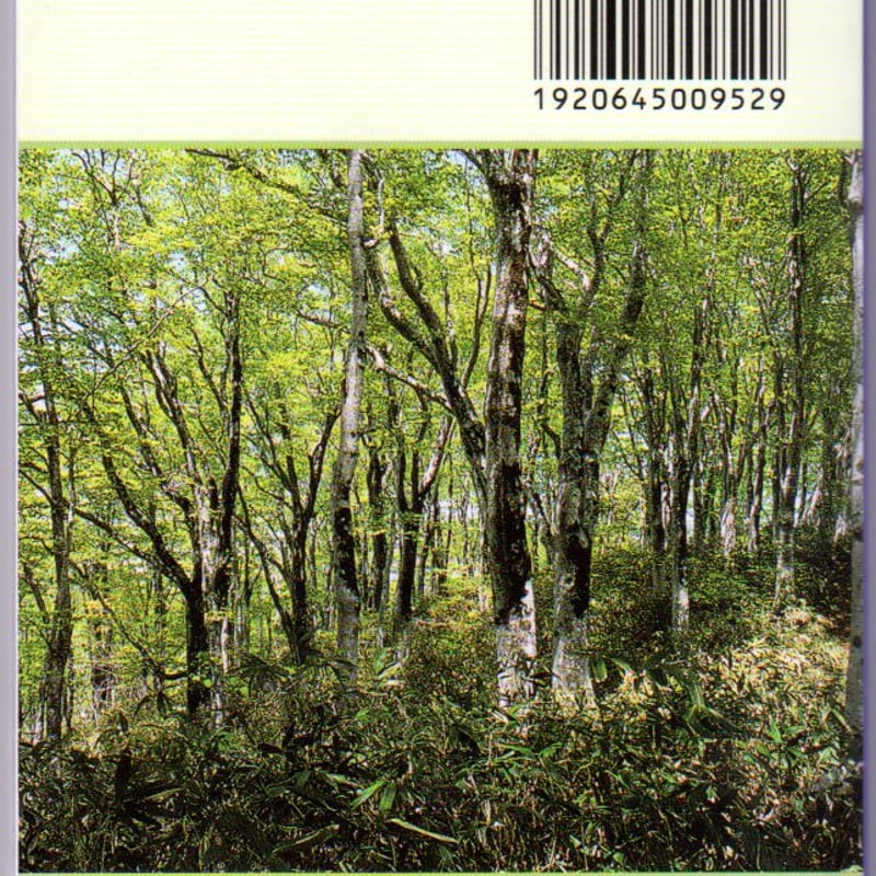 【中古】 世界自然遺産 白神山地 花ガイドと四季の風景 / 米澤いさお 中古】 世界自然遺産 白神山地 花ガイドと四季の風景 / 米澤