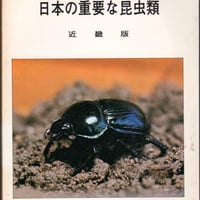 日本の重要な昆虫類　近畿版
