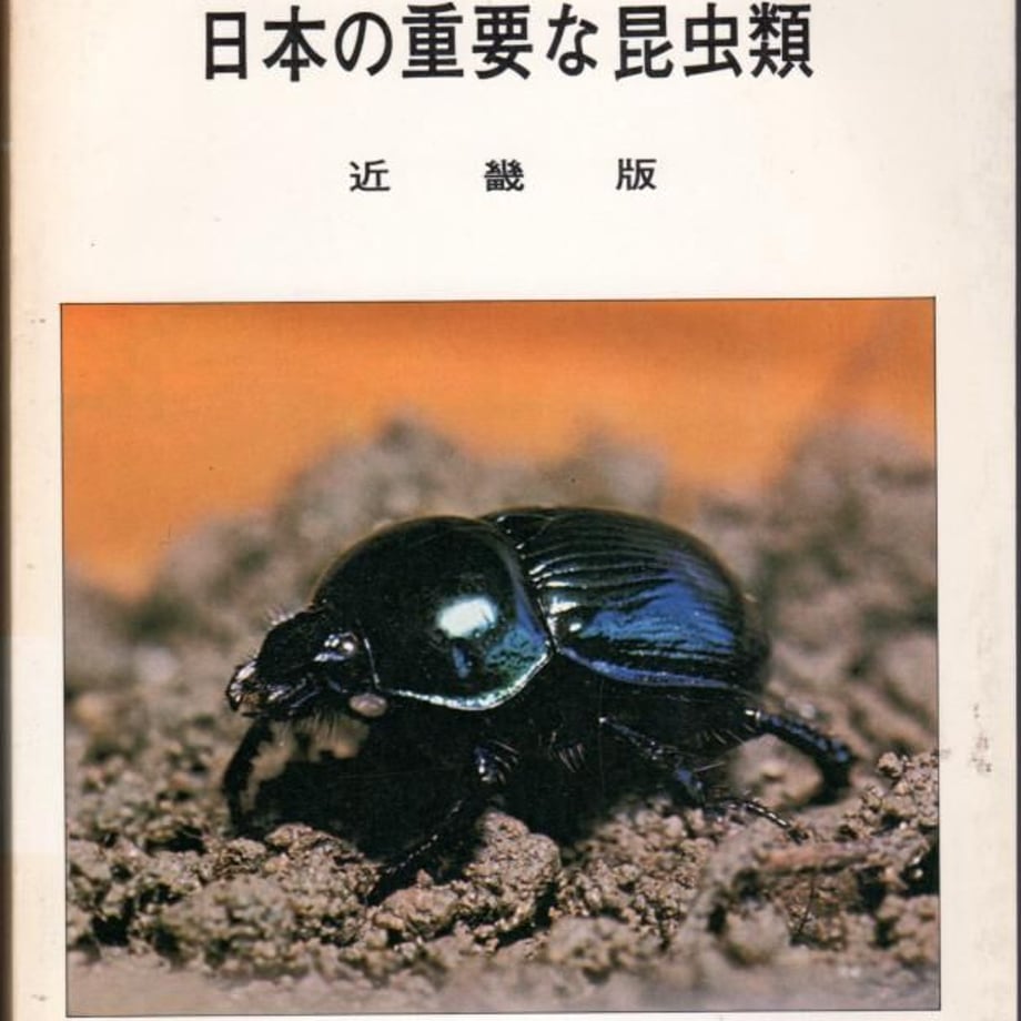63d9010039da5f6ed9547c8a