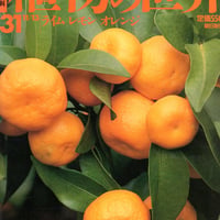 週刊朝日百科　植物の世界31　ライム　レモン　オレンジ