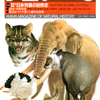 アニマ　1985年3月号