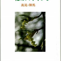 白神山地 花ガイドと四季の風景 | おちこち文庫