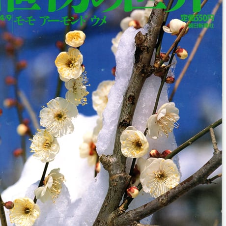 週刊朝日百科　植物の世界51　モモ　アーモンド　ウメ