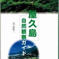 花のハイキング 高尾・陣馬 | おちこち文庫